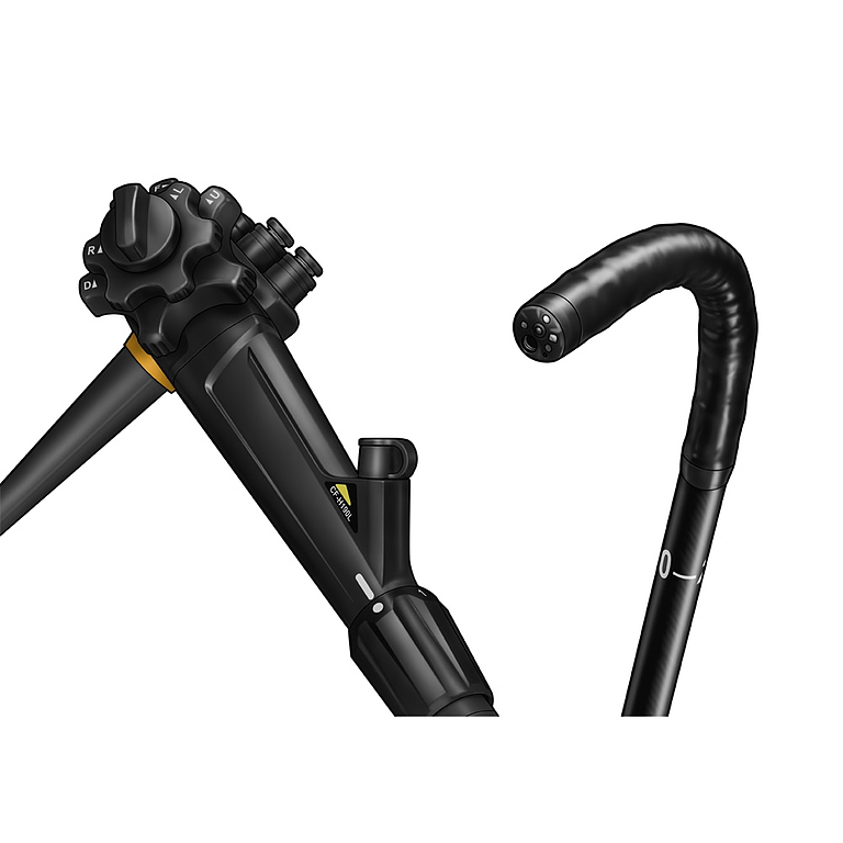 Asset Image