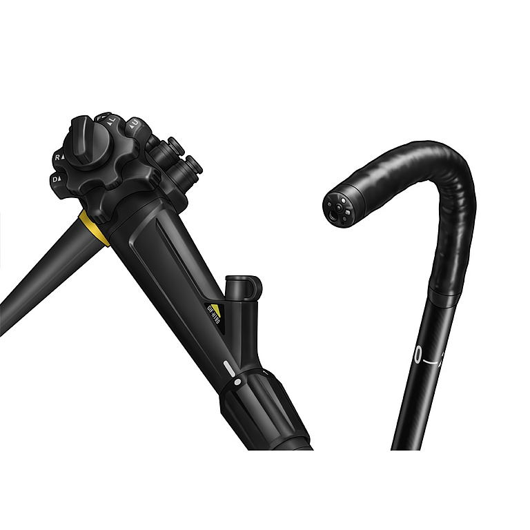 Asset Image