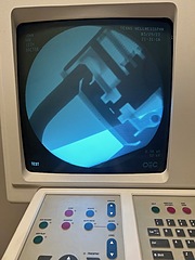 Asset Image