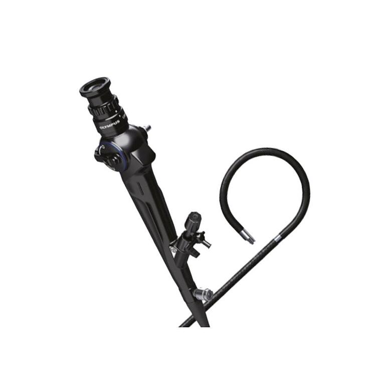 Asset Image