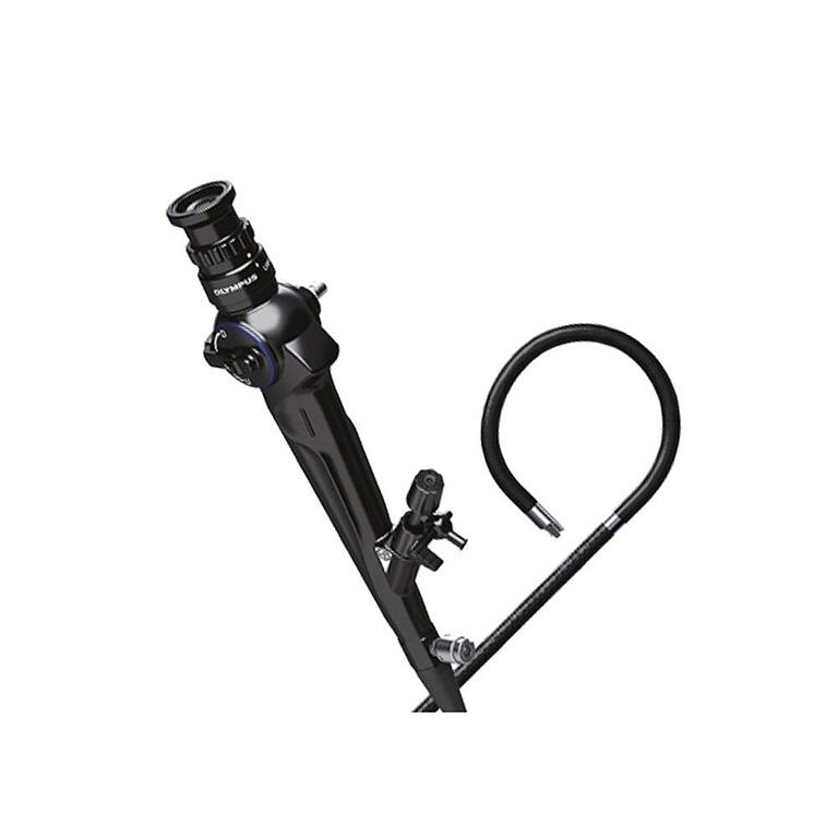 Asset Image