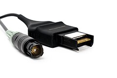 Asset Image