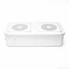 Asset Image