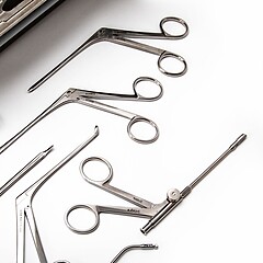 Asset Image