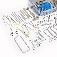 Asset Image
