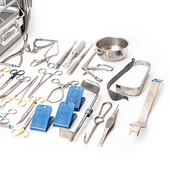 Asset Image