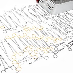 Asset Image