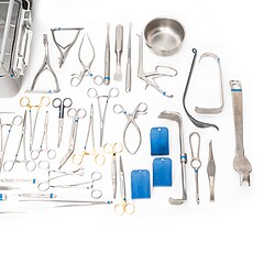 Asset Image