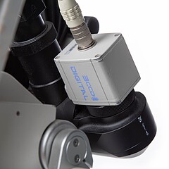 Asset Image