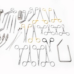 Asset Image