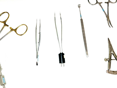 Asset Image