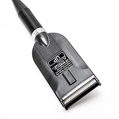 Asset Image