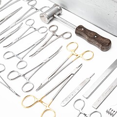 Asset Image