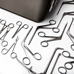 Asset Image