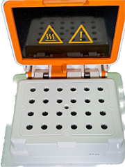 Asset Image