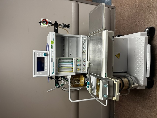 Asset Image