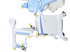 Asset Image