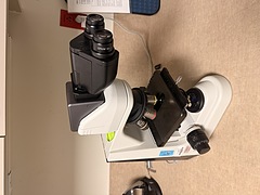 Asset Image