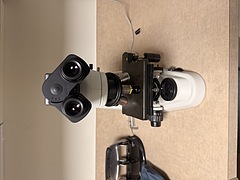 Asset Image
