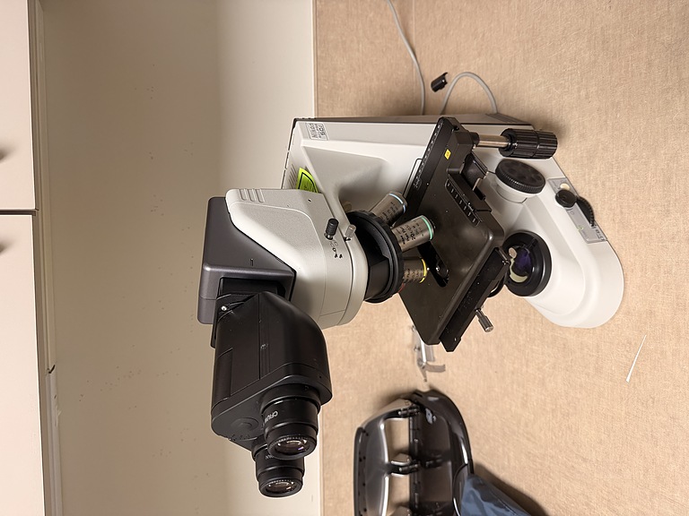 Asset Image