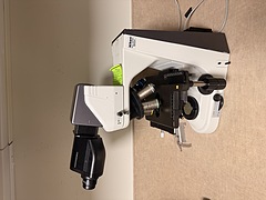 Asset Image