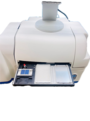 Asset Image