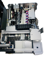 Asset Image