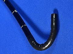 Asset Image