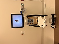 Asset Image