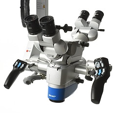 Asset Image