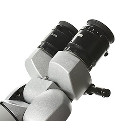 Asset Image