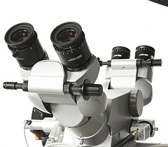 Asset Image