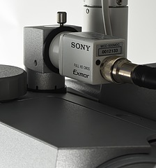 Asset Image