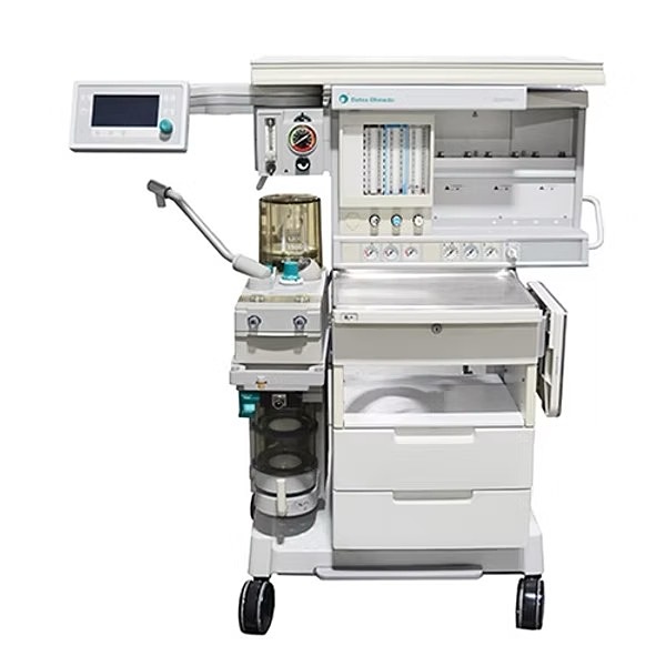 Asset Image