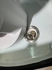 Asset Image