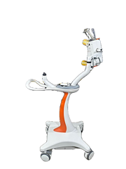 Asset Image