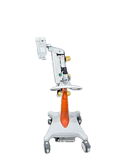 Asset Image