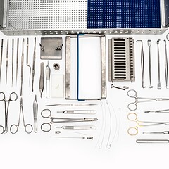 Asset Image