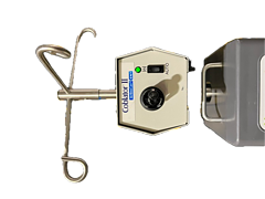 Asset Image