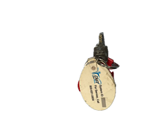 Asset Image