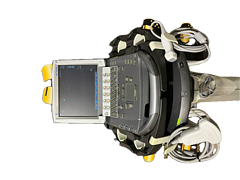 Asset Image