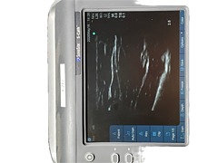 Asset Image