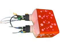 Asset Image