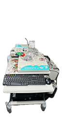 Asset Image