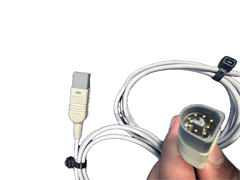 Asset Image