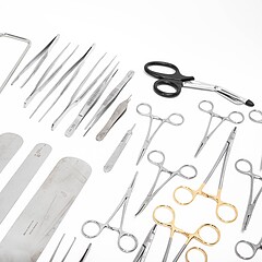 Asset Image