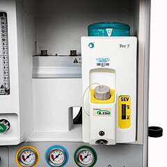 Asset Image